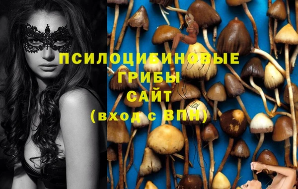 mix Ельня