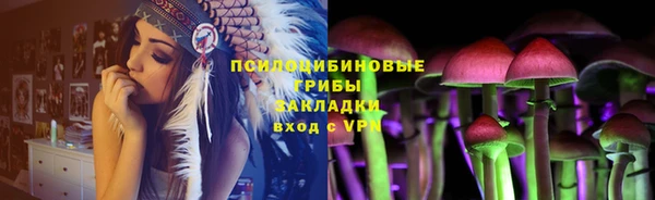прущая мука Елабуга