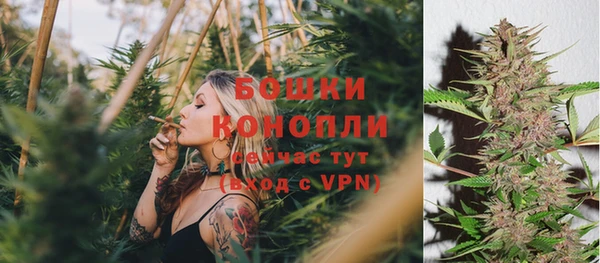 PSILOCYBIN Киренск