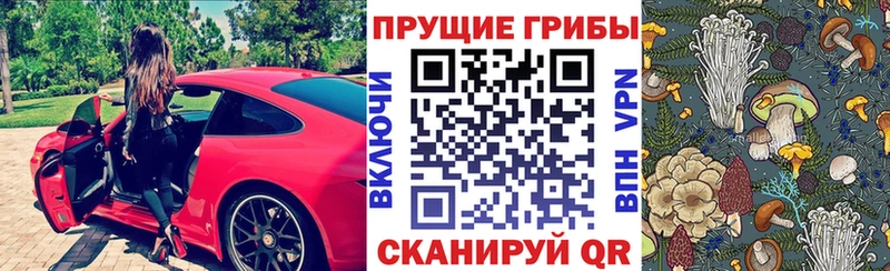 купить наркоту  Изобильный  mega tor  Псилоцибиновые грибы прущие грибы 