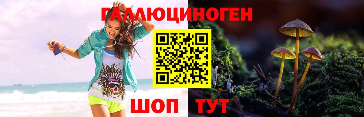 APVP Изобильный
